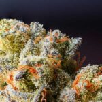 Best weed strains for night-time use- Unwind and relax