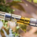 Convenient cultivation – How vape pens deliver mushroom goodness instantly?